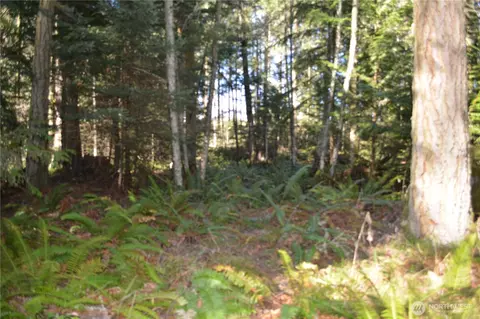 999 E Sequim Bay Rd, Sequim, WA 98382 photo 12