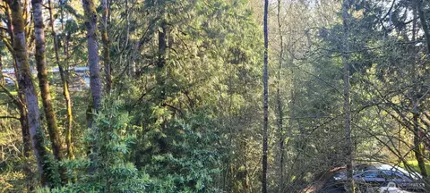 1317 Wildwood Blvd SW, Issaquah, WA 98027