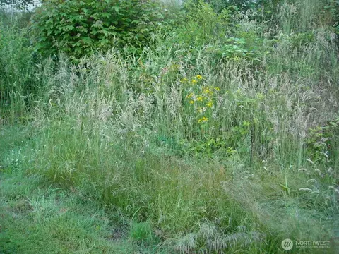 613 E 56th St, Tacoma, WA 98404