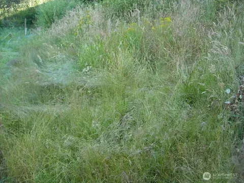 514 E 55th St, Tacoma, WA 98404