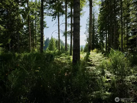 0 Phyllis Ann Block Ct, Cougar, WA 98616