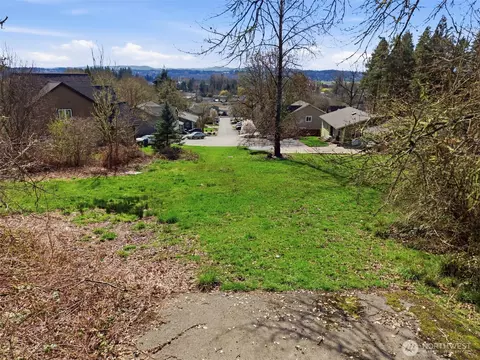 0 Nnnn Wallace Rd, Chehalis, WA 98532 photo 7
