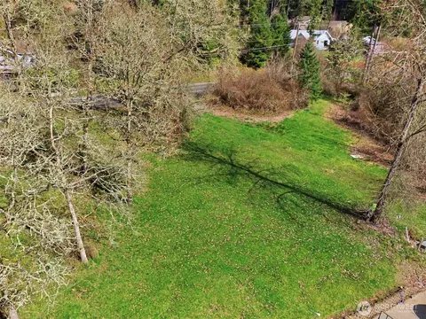 0 Nnnn Wallace Rd, Chehalis, WA 98532 photo 5