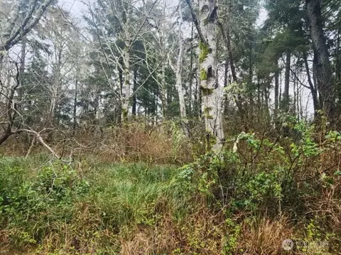 670 Weatherwax Loop NE, Ocean Shores, WA 98569