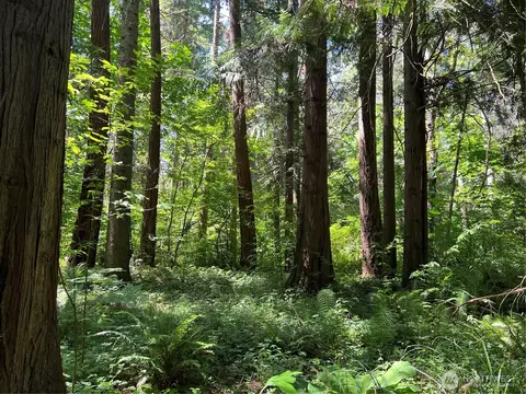 6 Acres South Beach Rd, Point Roberts, WA 98281