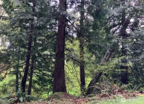0 D St, Bellingham, WA 98225