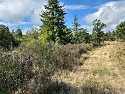 0 Dannie Womer Ln, Oakville, WA 98568