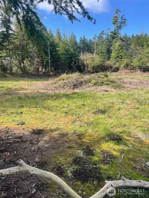 20100 Crane Pl, Ocean Park, WA 98640