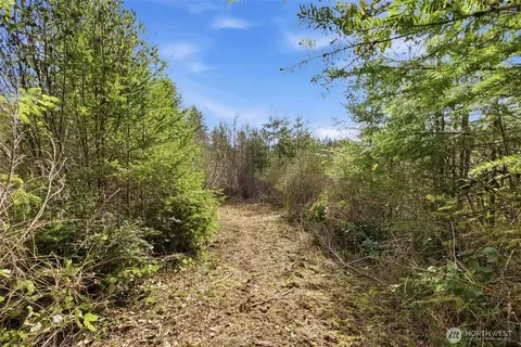 0 E Mclane Cove Dr, Grapeview, WA 98546 photo 6
