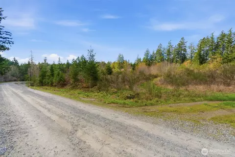 0 E Mclane Cove Dr, Grapeview, WA 98546 photo 13