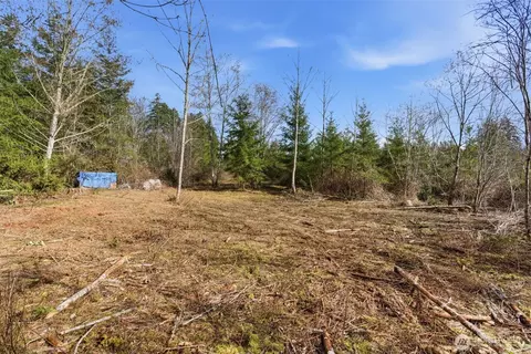 0 E Mclane Cove Dr, Grapeview, WA 98546 photo 10