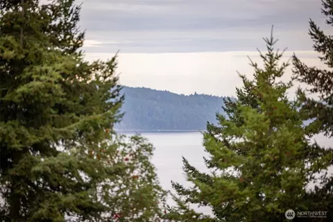 View/Area - 382 Discovery View Dr, Sequim, WA 98382 photo 1 of 6