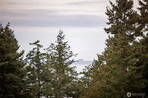 View/Area - 382 Discovery View Dr, Sequim, WA 98382 photo 3 of 6