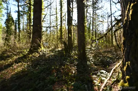 0 Old Cascade Hwy, Skykomish, WA 98288