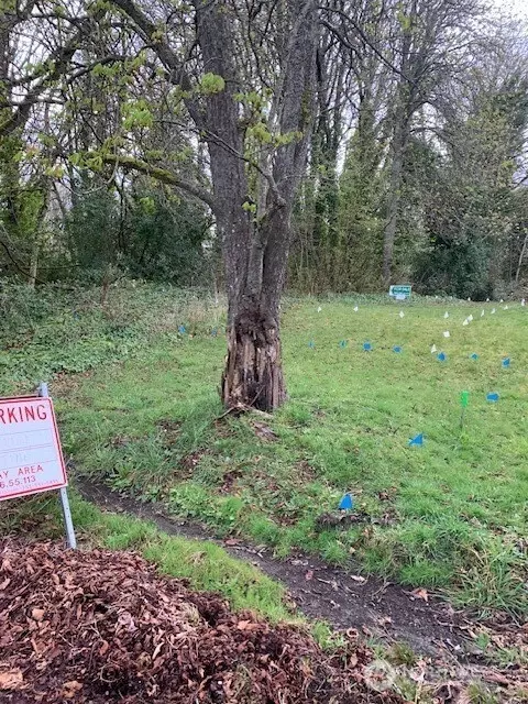 328 E 40th St, Tacoma, WA 98404