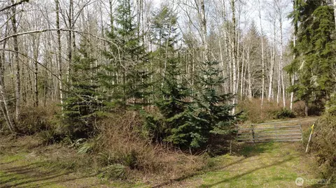 0 Blacktail Ct, Quilcene, WA 98376