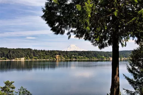 187 E Vineyard Crest Rd, Grapeview, WA 98546 photo 34