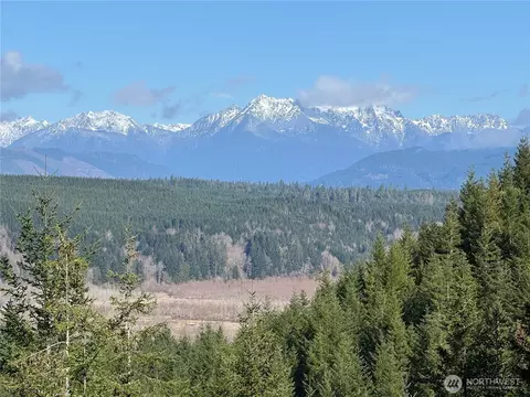 151 E Amy Ct, Shelton, WA 98584