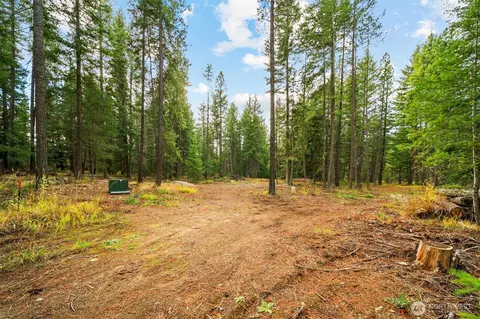 0 S Shugart Flats Rd, Leavenworth, WA 98826