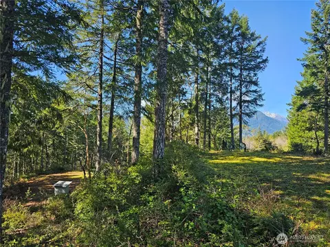753 Jupiter Loop, Brinnon, WA 98320 photo 7