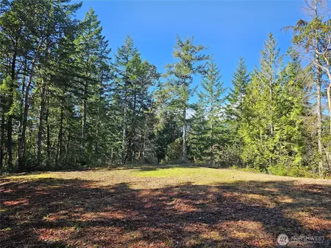 753 Jupiter Loop, Brinnon, WA 98320 photo 16