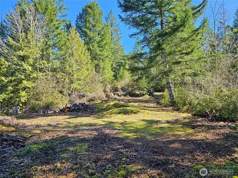 753 Jupiter Loop, Brinnon, WA 98320 photo 18