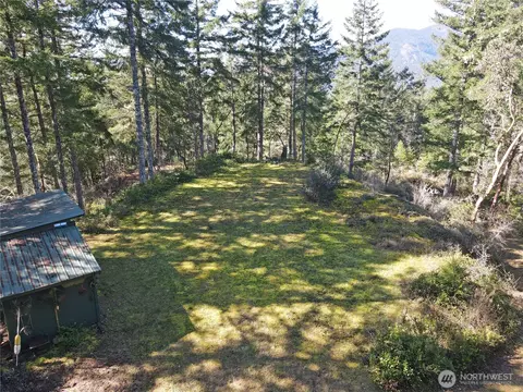 753 Jupiter Loop, Brinnon, WA 98320 photo 3