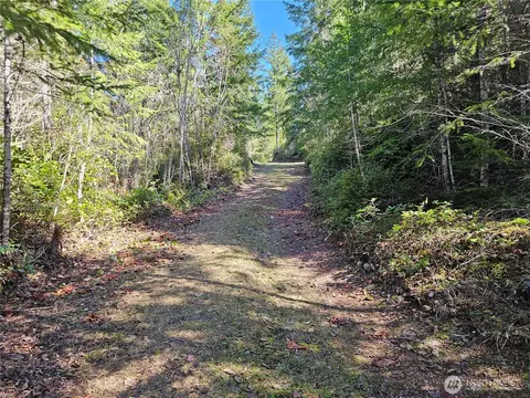 753 Jupiter Loop, Brinnon, WA 98320 photo 17