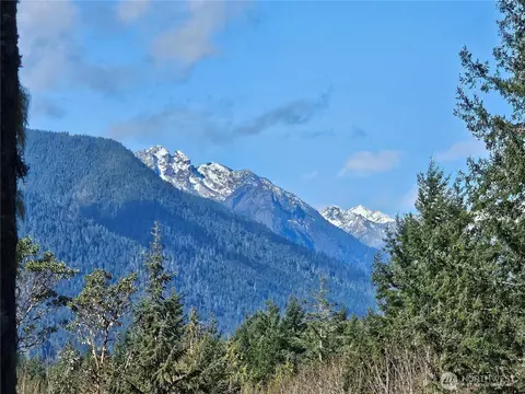 753 Jupiter Loop, Brinnon, WA 98320 photo 4