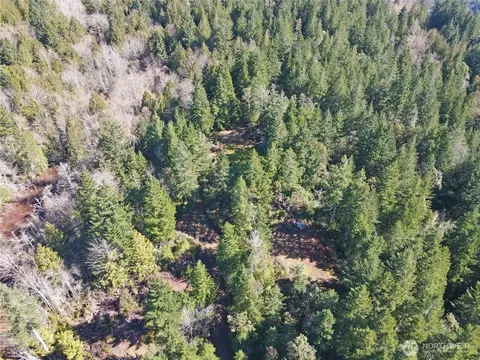 753 Jupiter Loop, Brinnon, WA 98320 photo 24