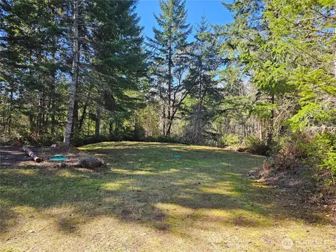 753 Jupiter Loop, Brinnon, WA 98320 photo 14