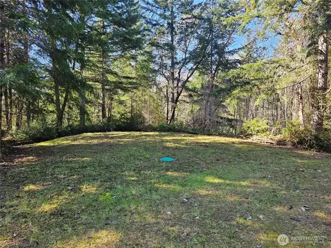 753 Jupiter Loop, Brinnon, WA 98320 photo 13