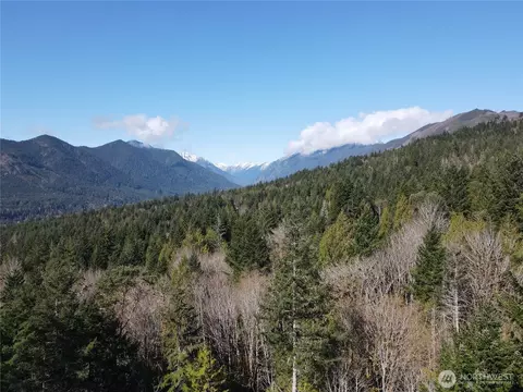 753 Jupiter Loop, Brinnon, WA 98320 photo 5