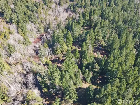 753 Jupiter Loop, Brinnon, WA 98320 photo 23