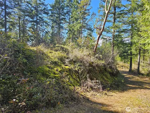 753 Jupiter Loop, Brinnon, WA 98320 photo 15