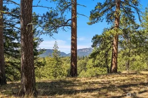 36 Wanawish Loop, Cle Elum, WA 98922