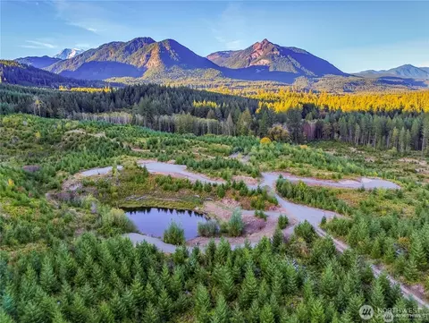 294 Hardy Ln, Packwood, WA 98361