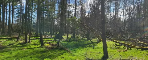 444 Meier Rd, Winlock, WA 98596 photo 6