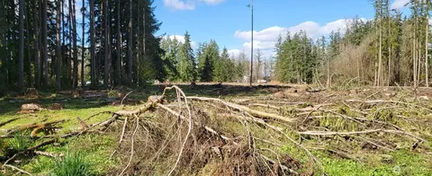 444 Meier Rd, Winlock, WA 98596 photo 2