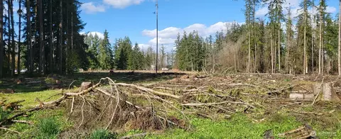 444 Meier Rd, Winlock, WA 98596 photo 3