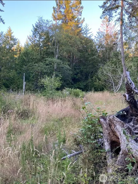 121 N Bagley Creek Rd, Port Angeles, WA 98362