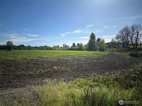 0 Clearbrook Rd, Sumas, WA 98295 photo 15