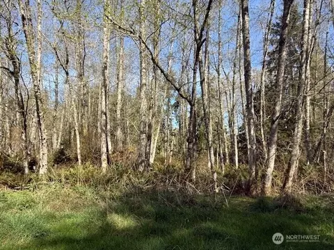 0 Lot 15 Ander Park Rd, Freeland, WA 98249