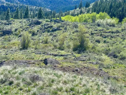 2 X Alder Rd, Twisp, WA 98856