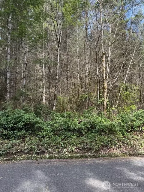 0 Nn Summers Rd, Centralia, WA 98531