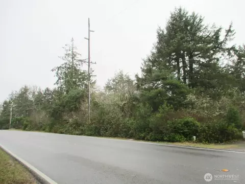 553 Dolphin Ave NE, Ocean Shores, WA 98569