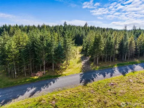 203 Bear Creek Ln, Winlock, WA 98596
