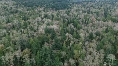 9 E St, Bellingham, WA 98225