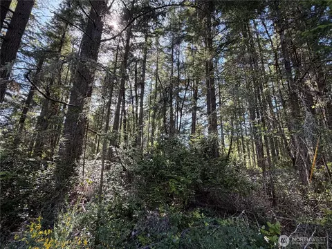 10506 Tahoma Dr, Anderson Island, WA 98303