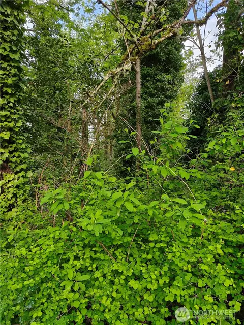 8813 42nd Ave S, Seattle, WA 98118